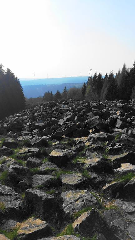 Landhaus Spanier Nonnweiler Bagian luar foto
