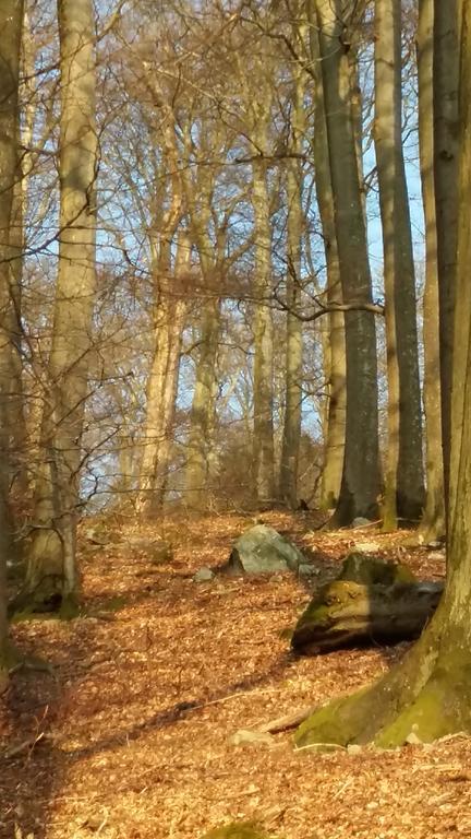 Landhaus Spanier Nonnweiler Bagian luar foto